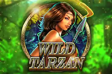 Microgaming slot